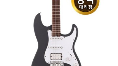 🎸 헥스 E100S/SG 득템 후기! 입문 기타 고민 끝! (솔직리뷰) ✨